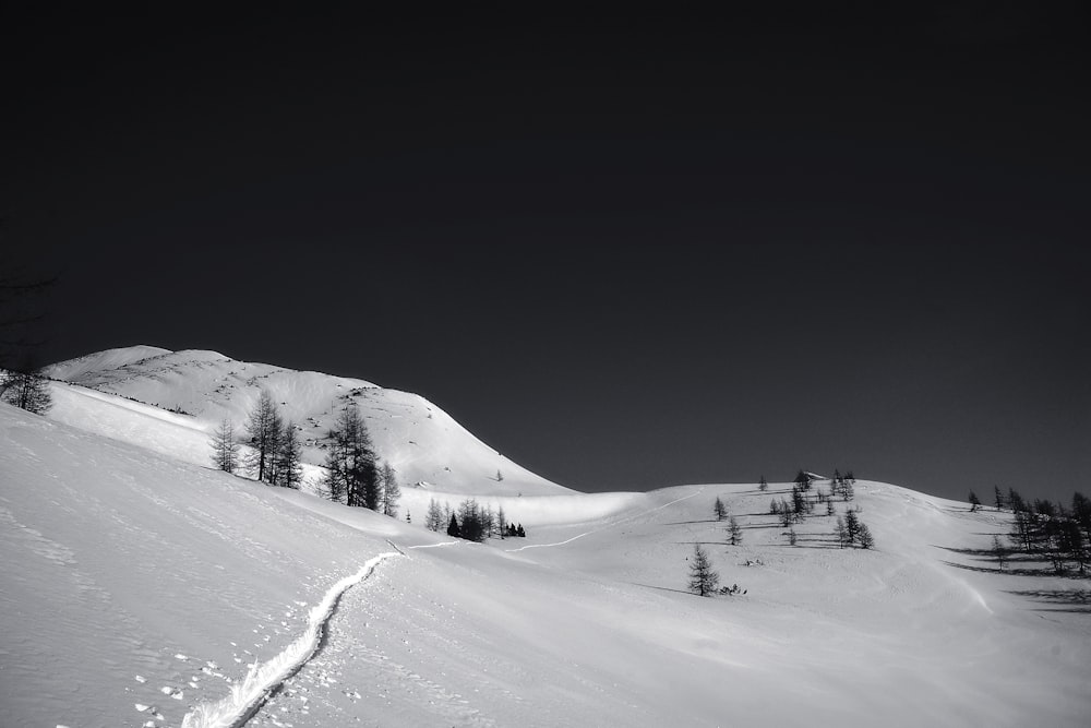 Fotografía en escala de grises de un campo nevado