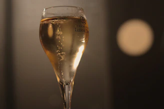 A close-up of champagne bubbles rising in a slender flute against a backdrop of soft golden hues.