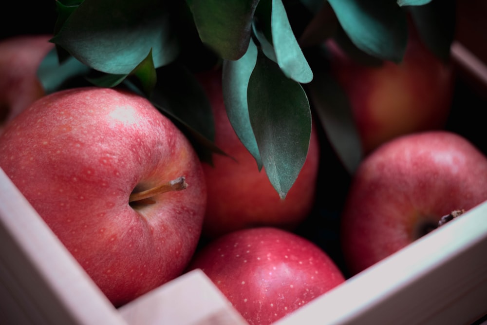 red fruits in basket