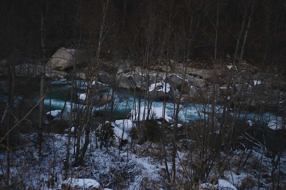 river between stones and trees during daytime