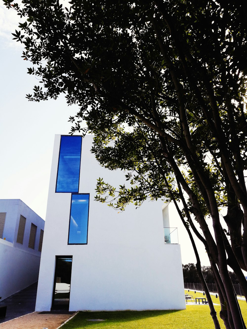 green-leafed trees and white concrete structure