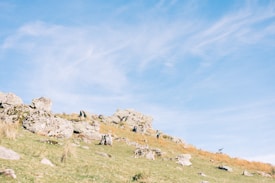 A scenic landscape featuring a gentle hillside covered in green grass and scattered with large, rugged rocks. The sky is a clear blue with wispy clouds stretching across it. A few people are walking up the hill, adding a sense of scale to the expansive outdoor setting.