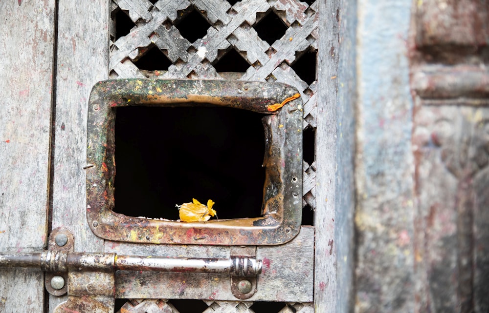 closed grey wooden door