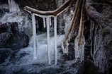 Icicles form on tree branches that hang over a flowing stream. The ice appears clear and sharp, contrasting with the dark water and moss-covered rocks. The scene captures the delicate interaction between water and cold air.