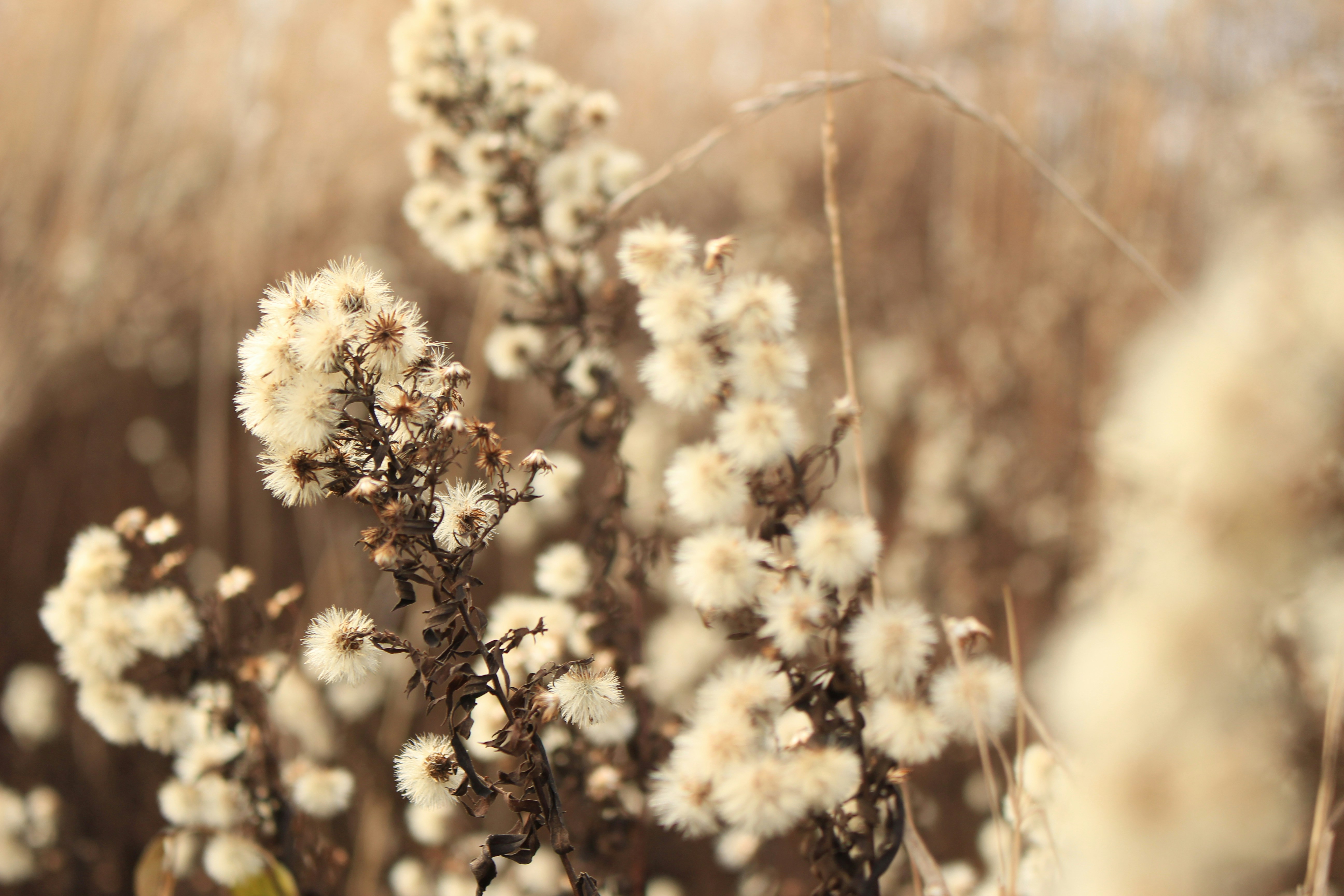 Photo by marjorylucabaxter