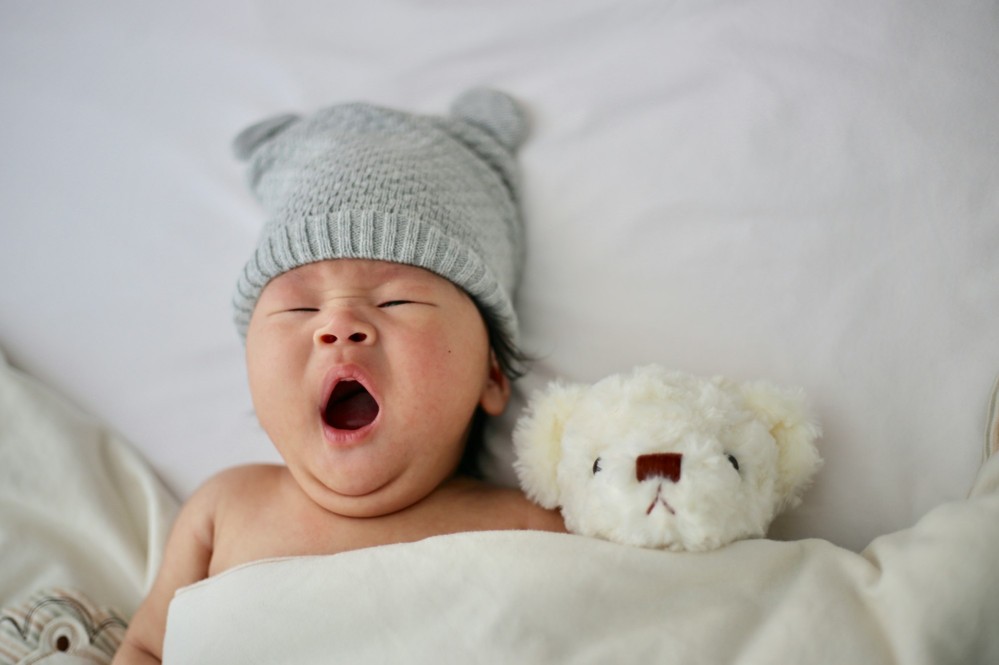 yawning baby, white teddy, cute baby, cute asian baby