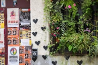 A wall covered in concert posters and flyers on the left side, featuring various events and artists. On the right side, a window displays a lush arrangement of green plants and colorful flowers, creating a vibrant contrast. Black heart shapes decorate the white wall, adding an artistic touch.