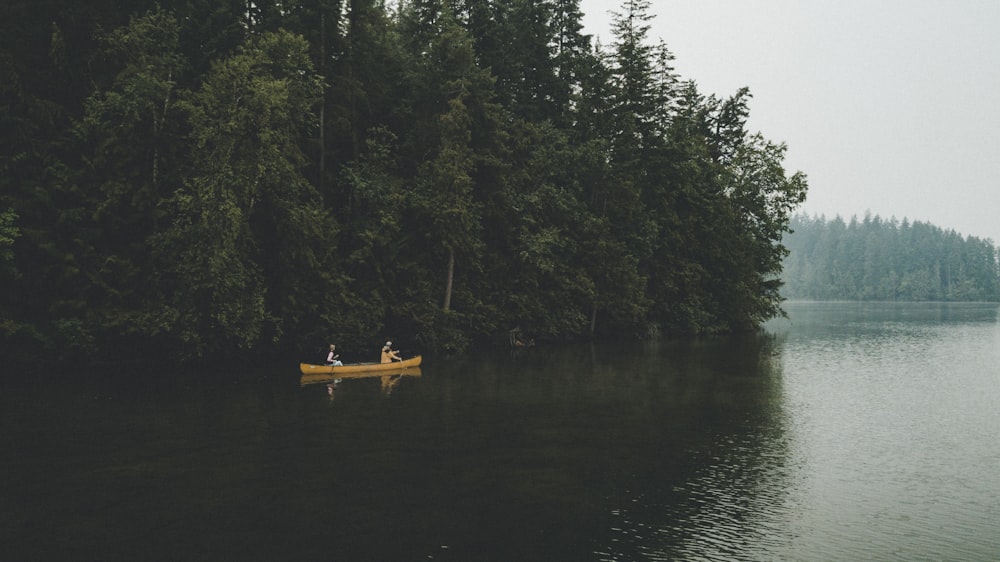 boat on body of water