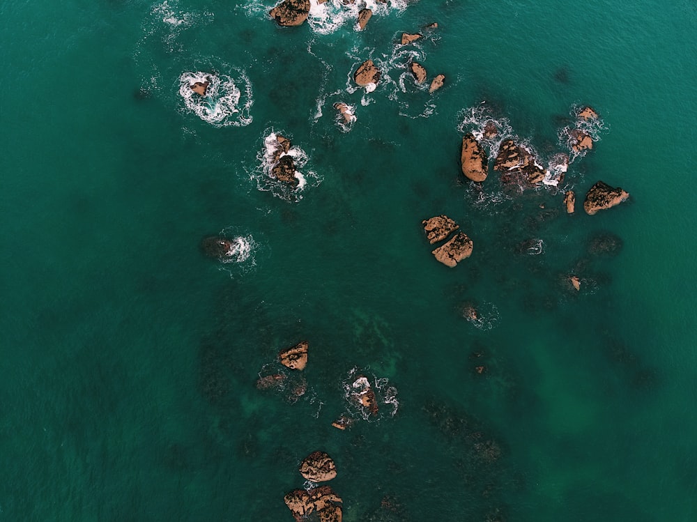 brown rock formations