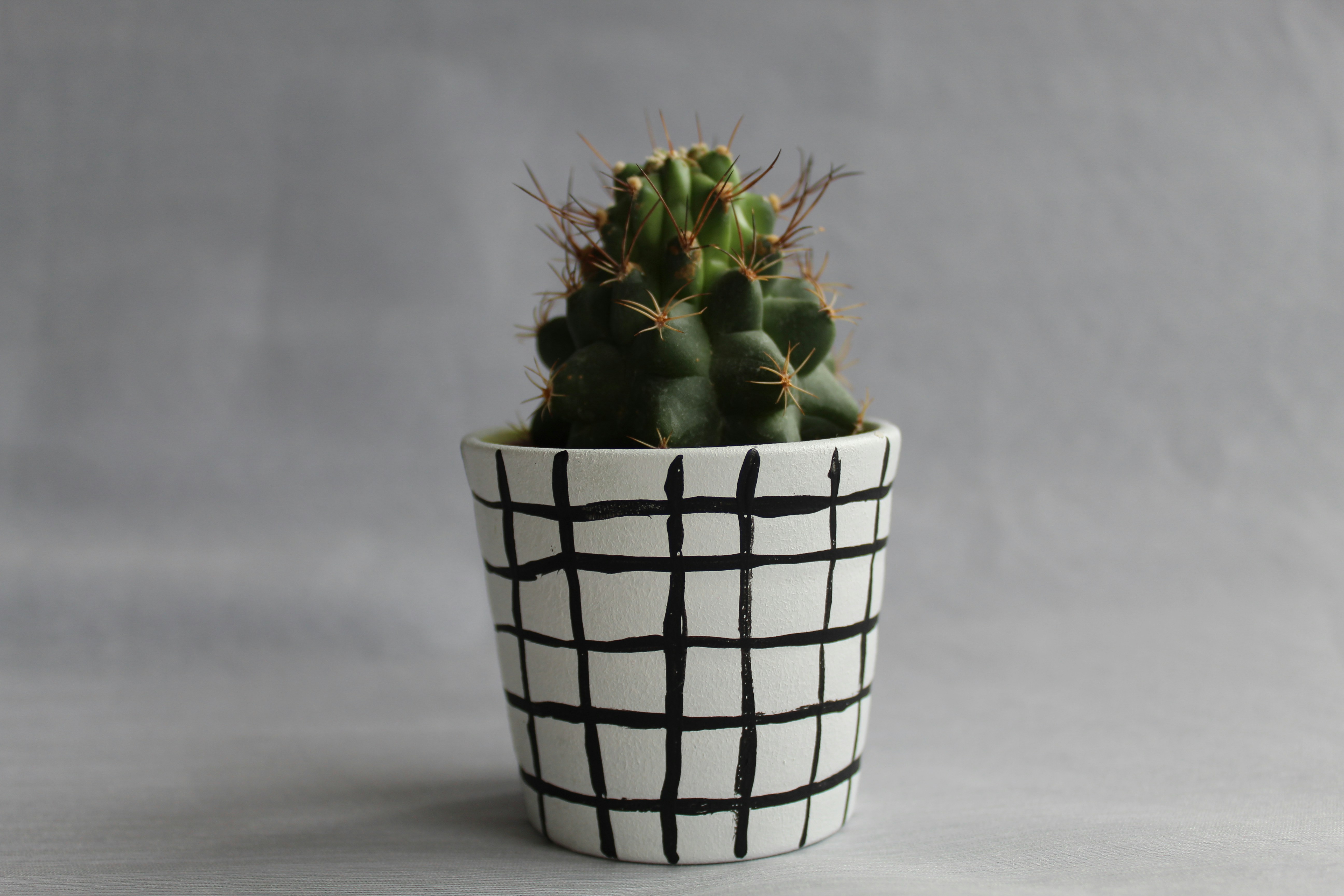 Photo by sterre_reeuwijk