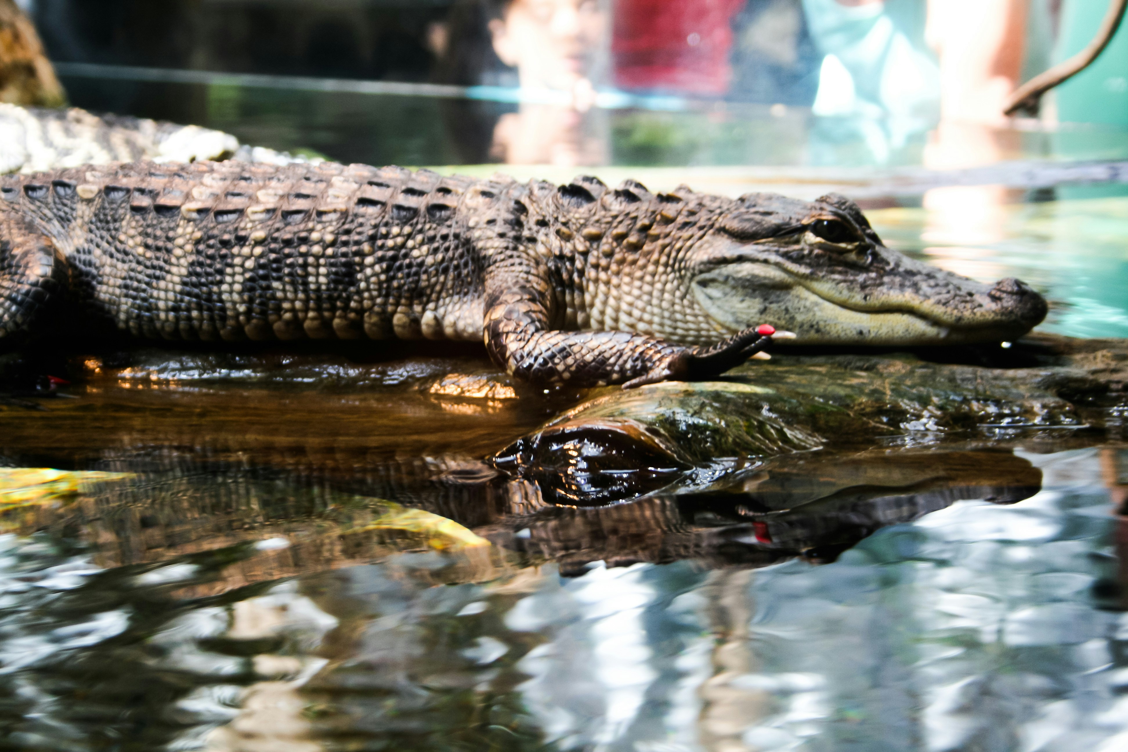 Photo by mrsmcelroy16