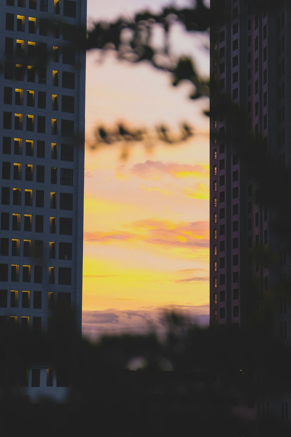 silhouette photography of buildings