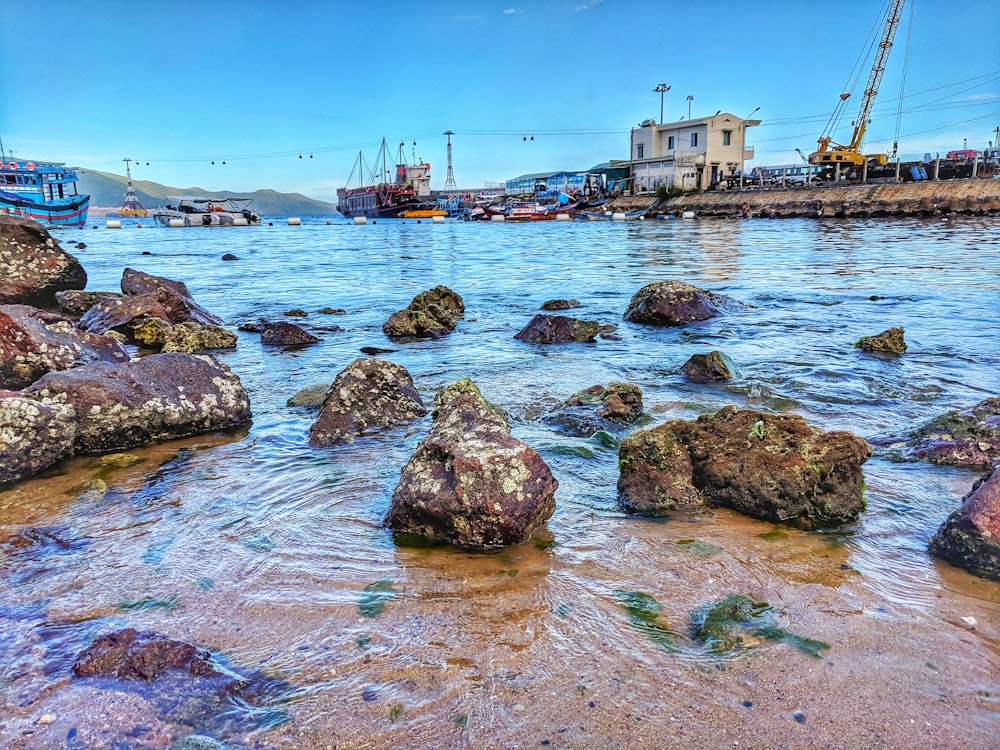 rochers couverts de mousse sur le rivage pendant la journée