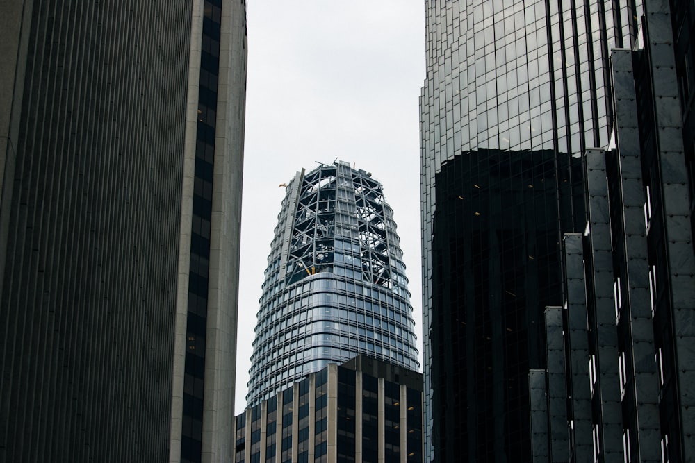회색 유리 고층 건물