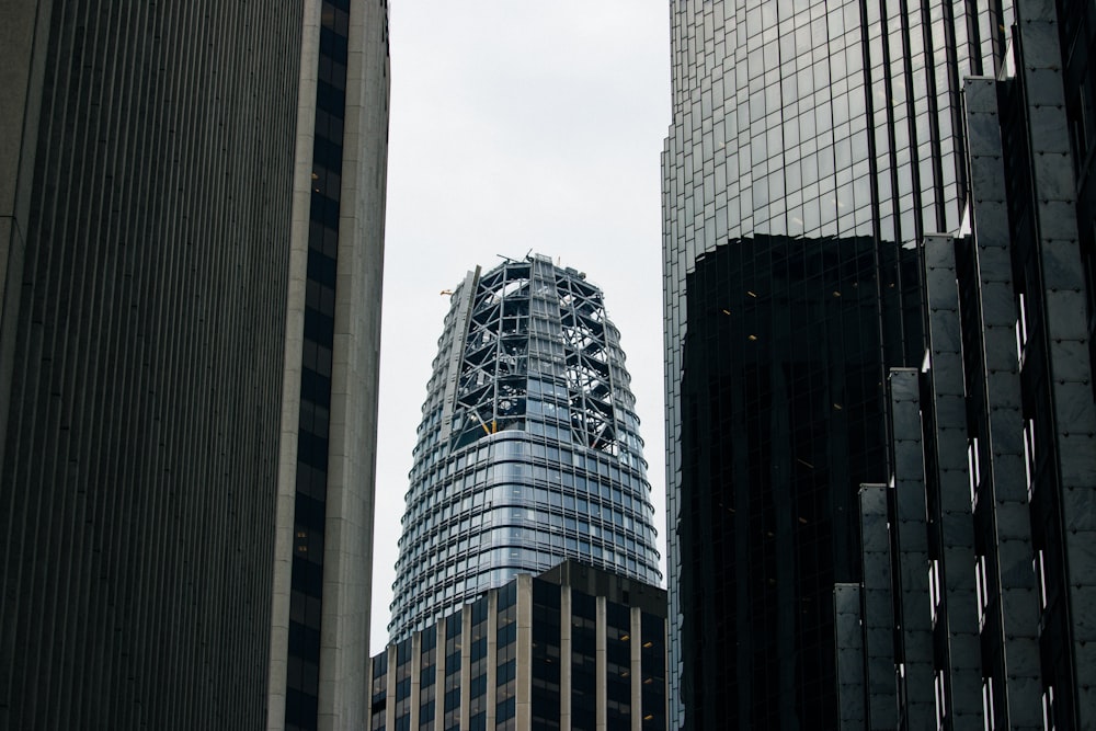 gray glass high-rise buildings