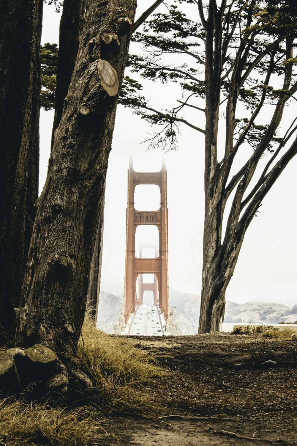 Ponte Golden Gate durante o dia