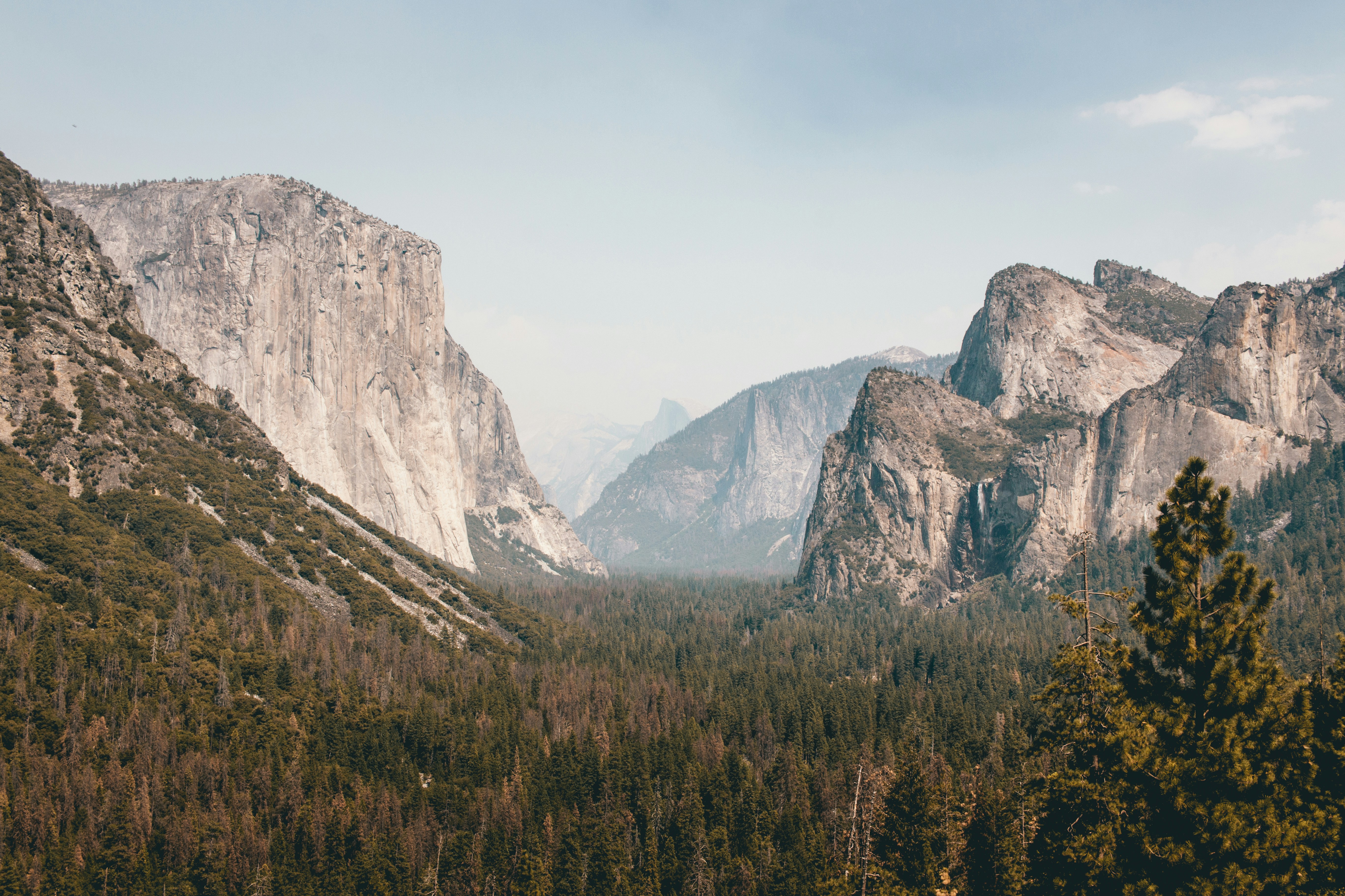 Photo by adrian_trinkaus