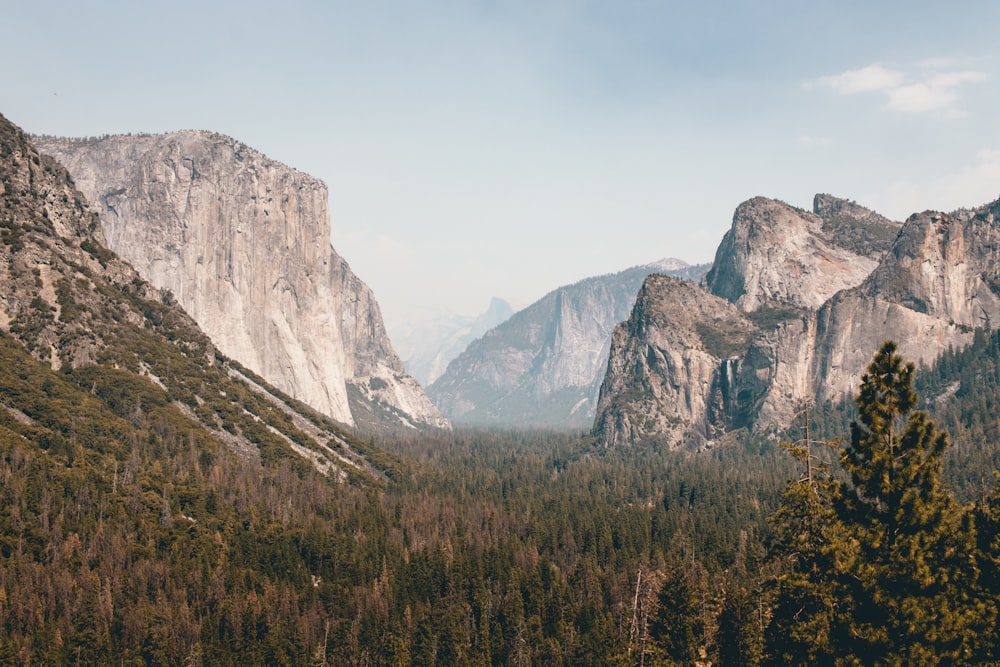 rocky mountain with trees view