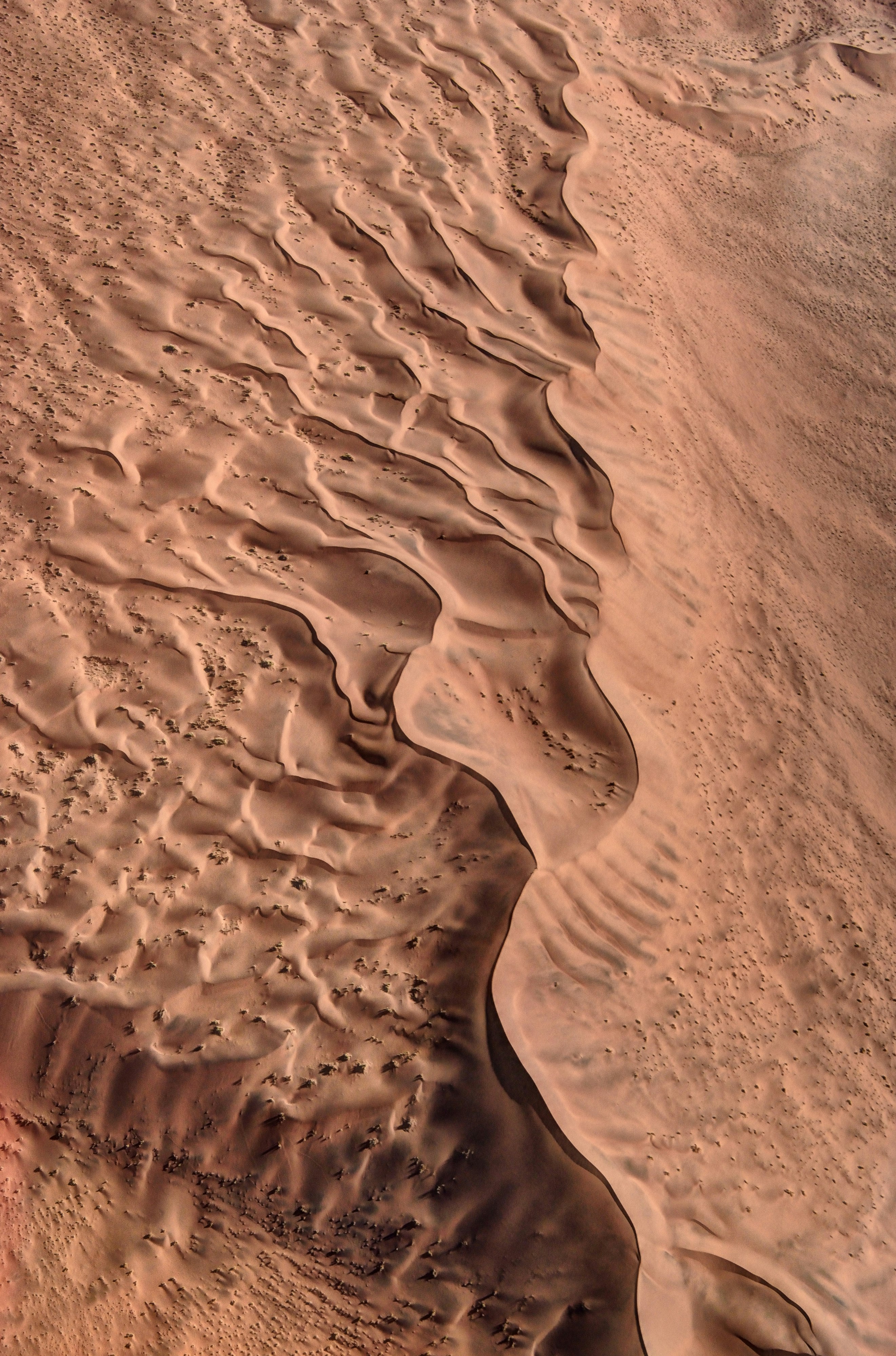 aerial view photography of desert