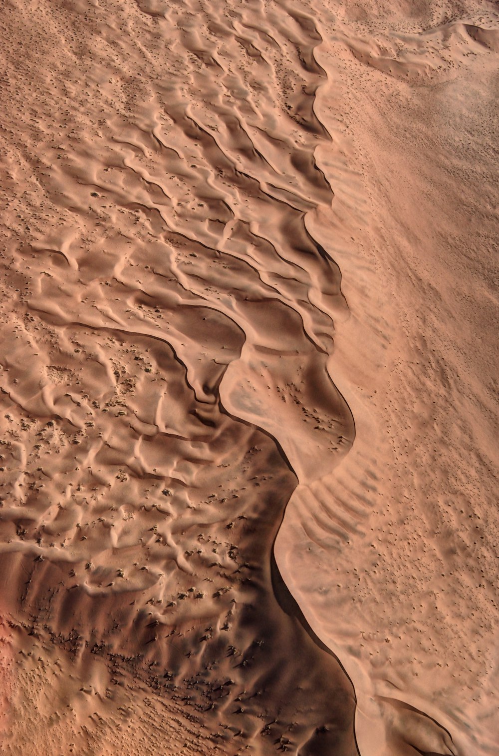 Fotografía de vista aérea del desierto