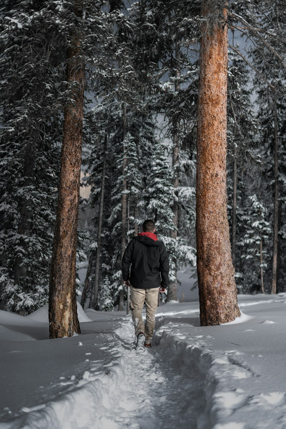 man walking in the forest