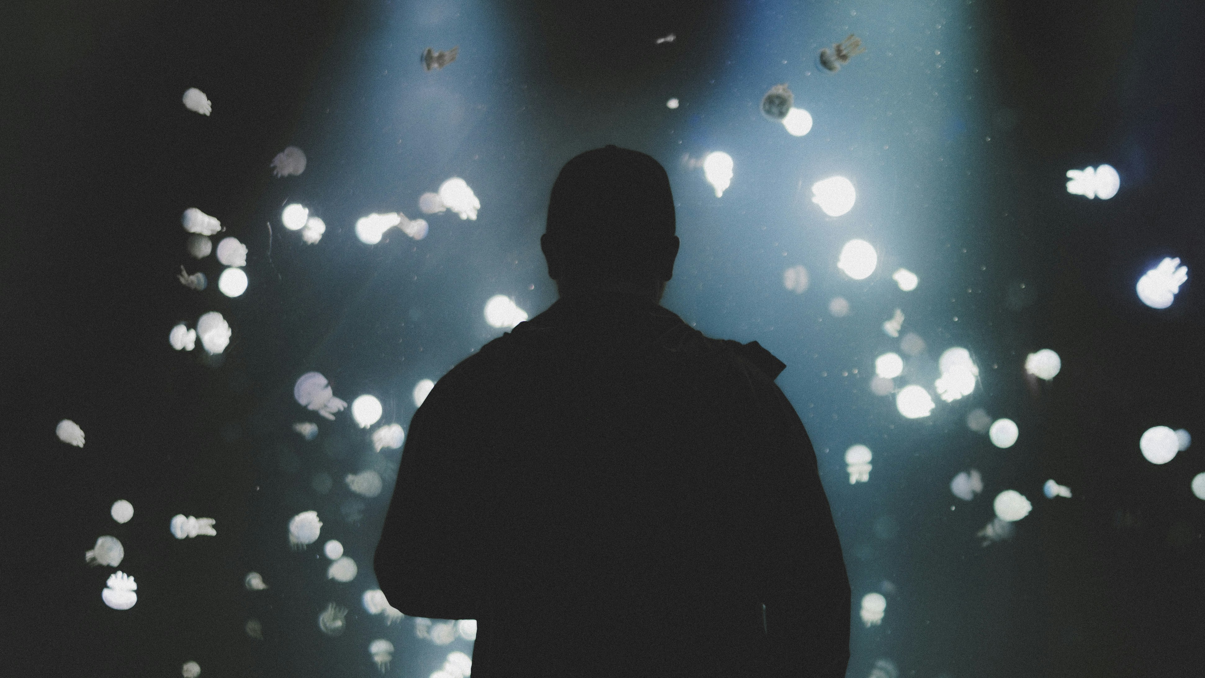 Photo by twentyonekoalas