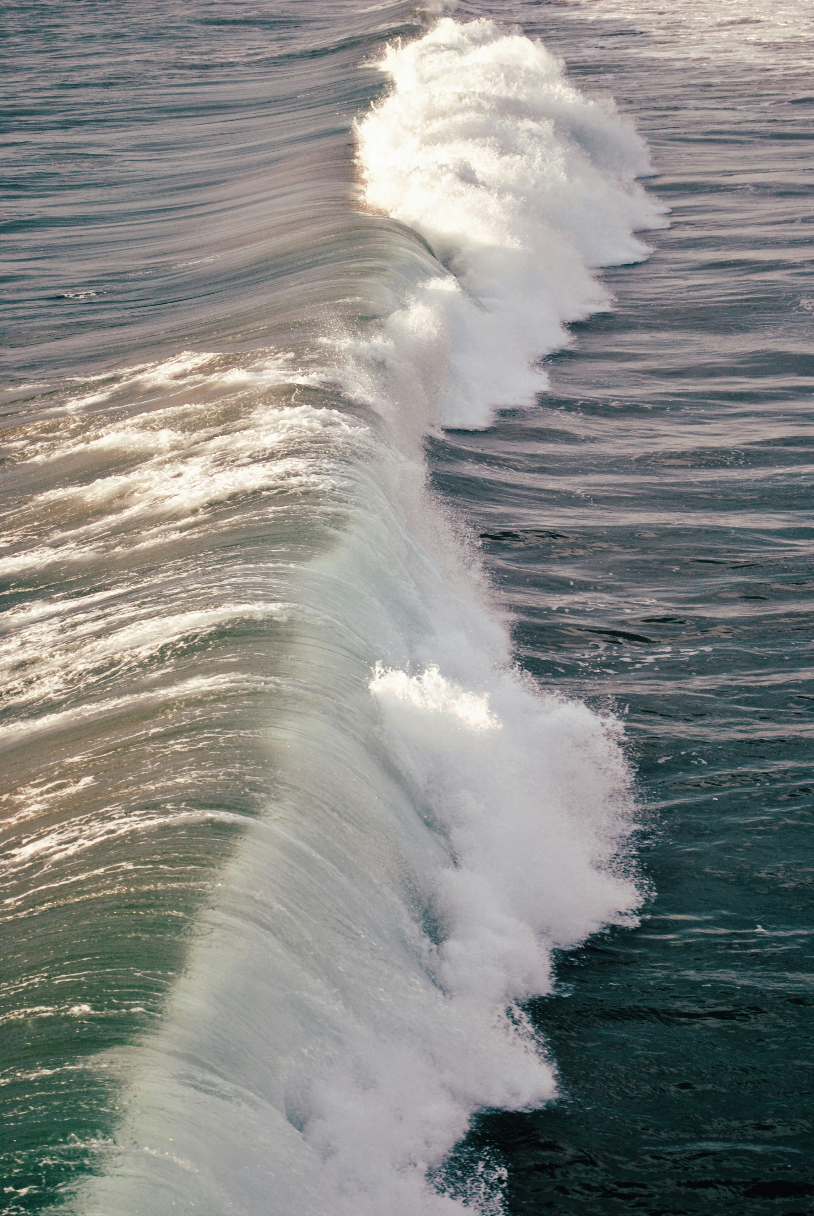 Photo by joelmott