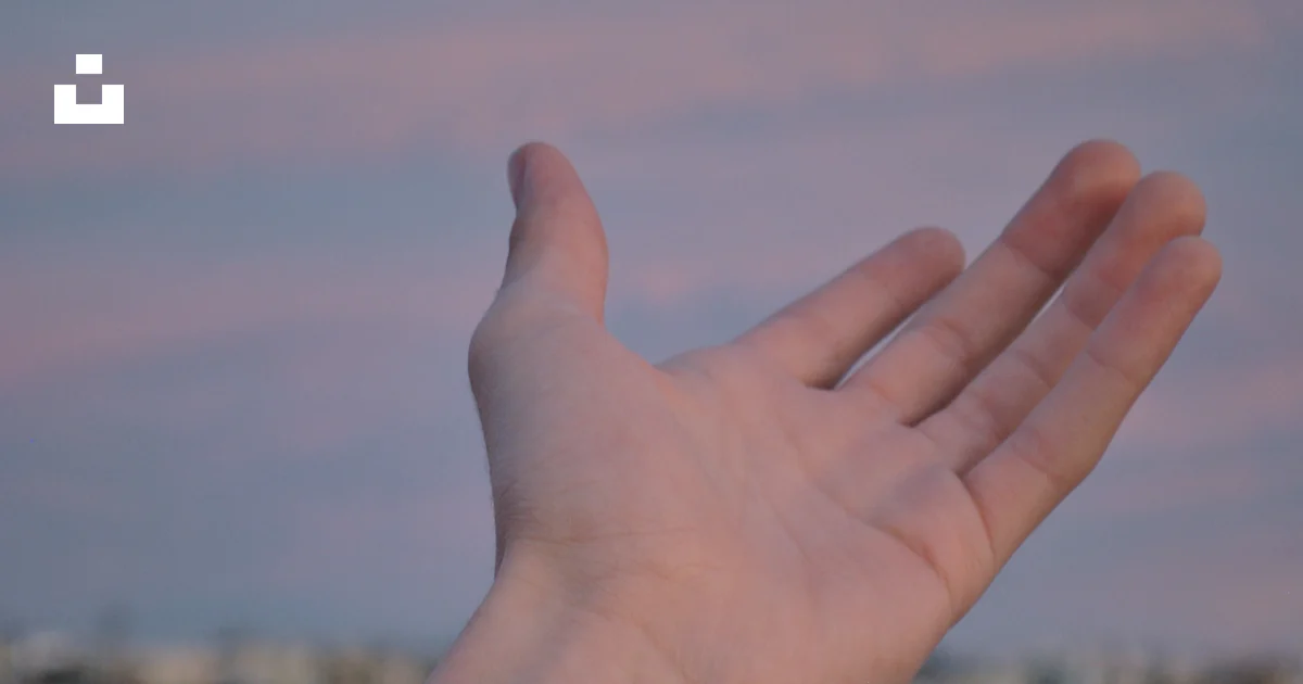 Person's left hand photo – Free Hands Image on Unsplash