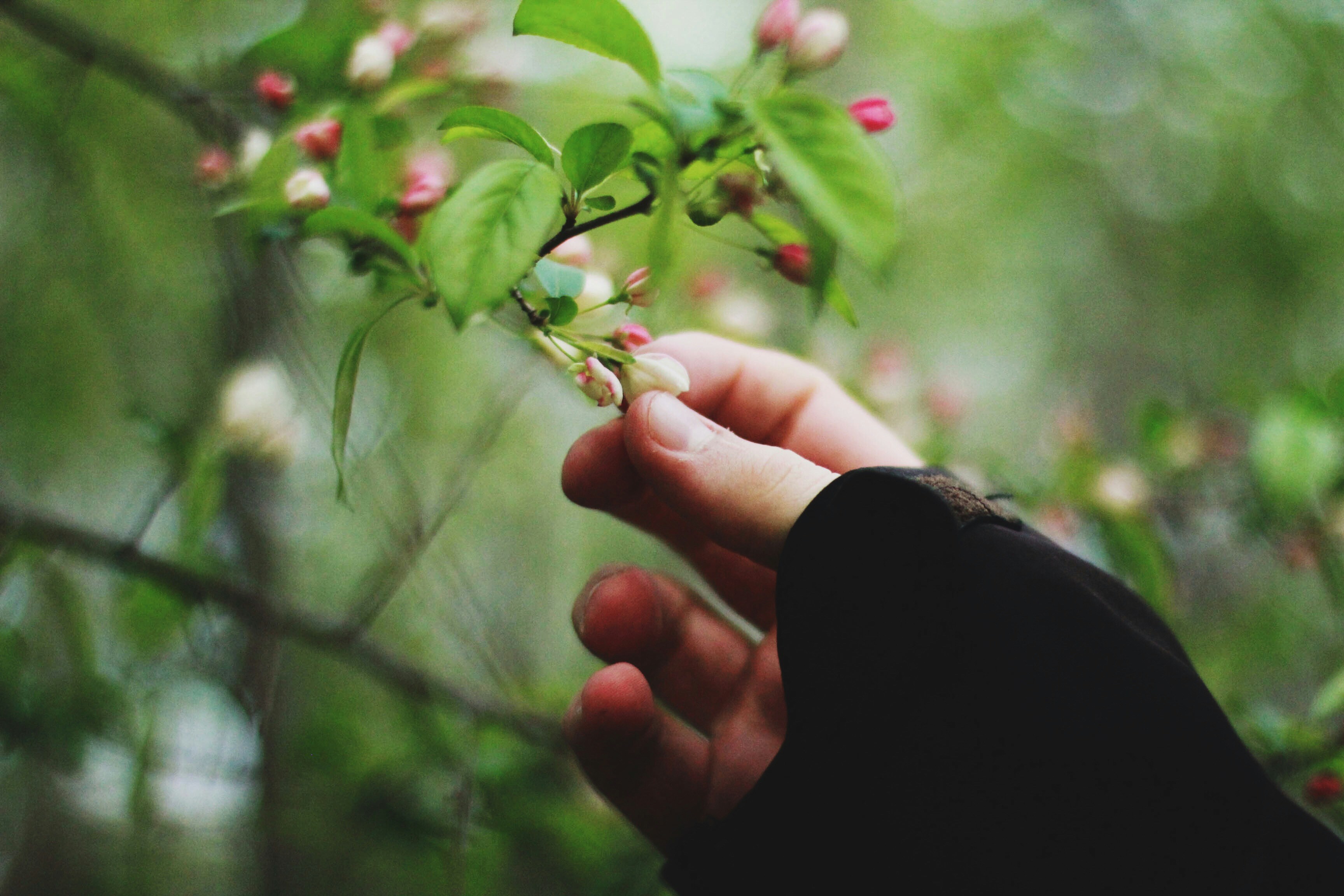 Photo by meghanschiereck