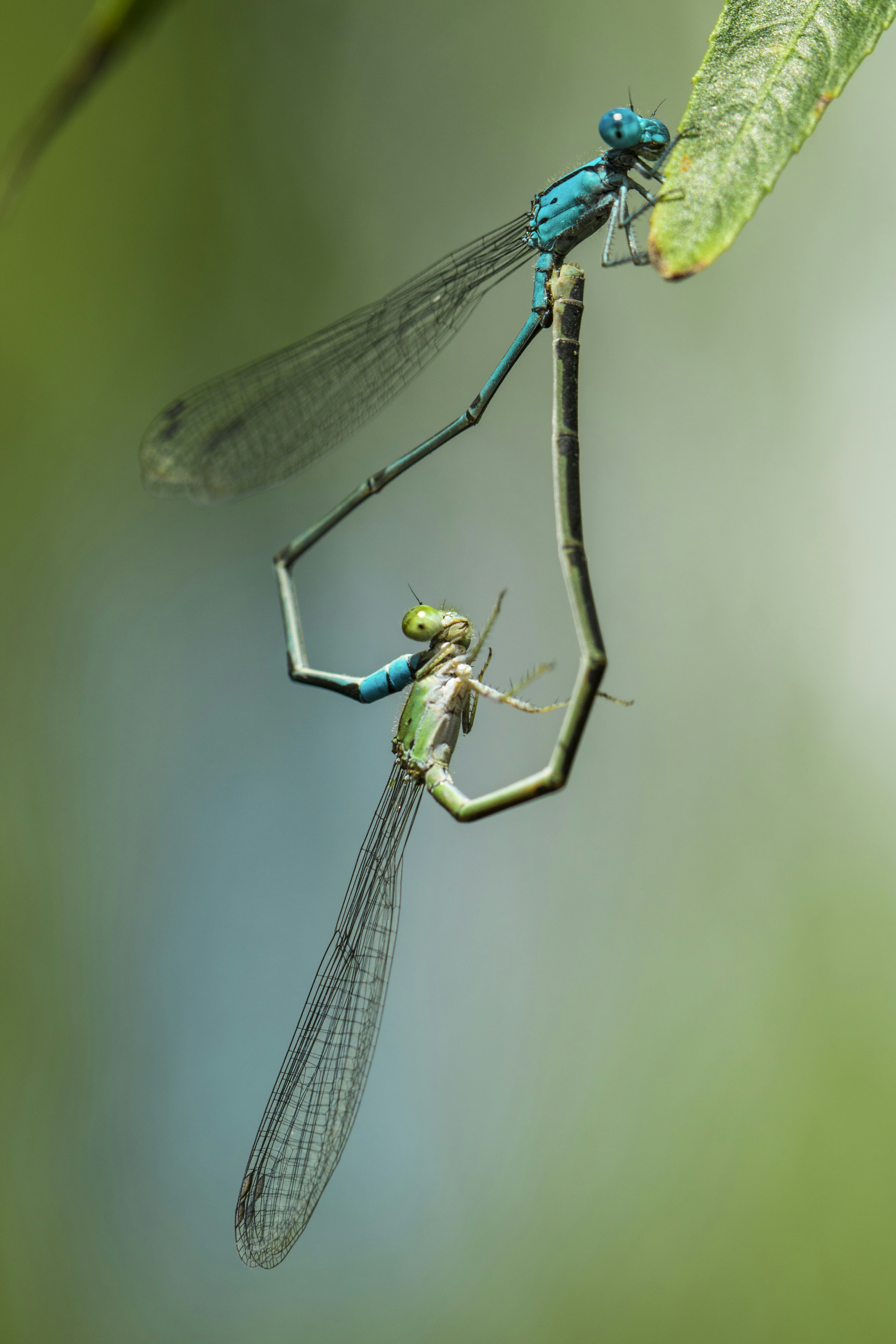 Photo by the_colourful_pixel