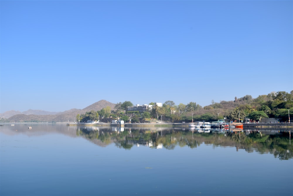 houses on field and different boats on body of water during daytime