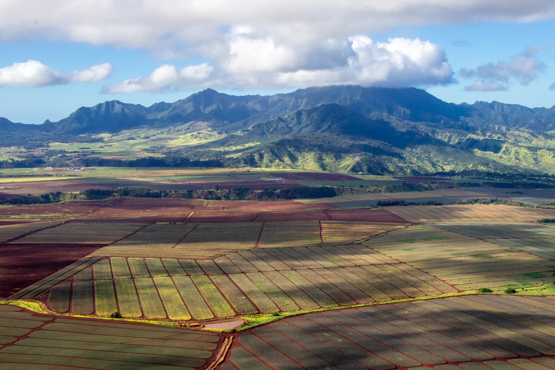 Green mountains of Central Oʻahu near Mililani