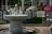 A happy customer standing beside a beautiful marble fountain.