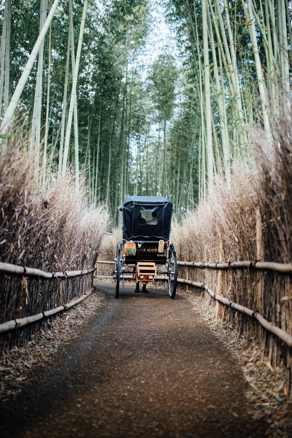 black carriage on brown path