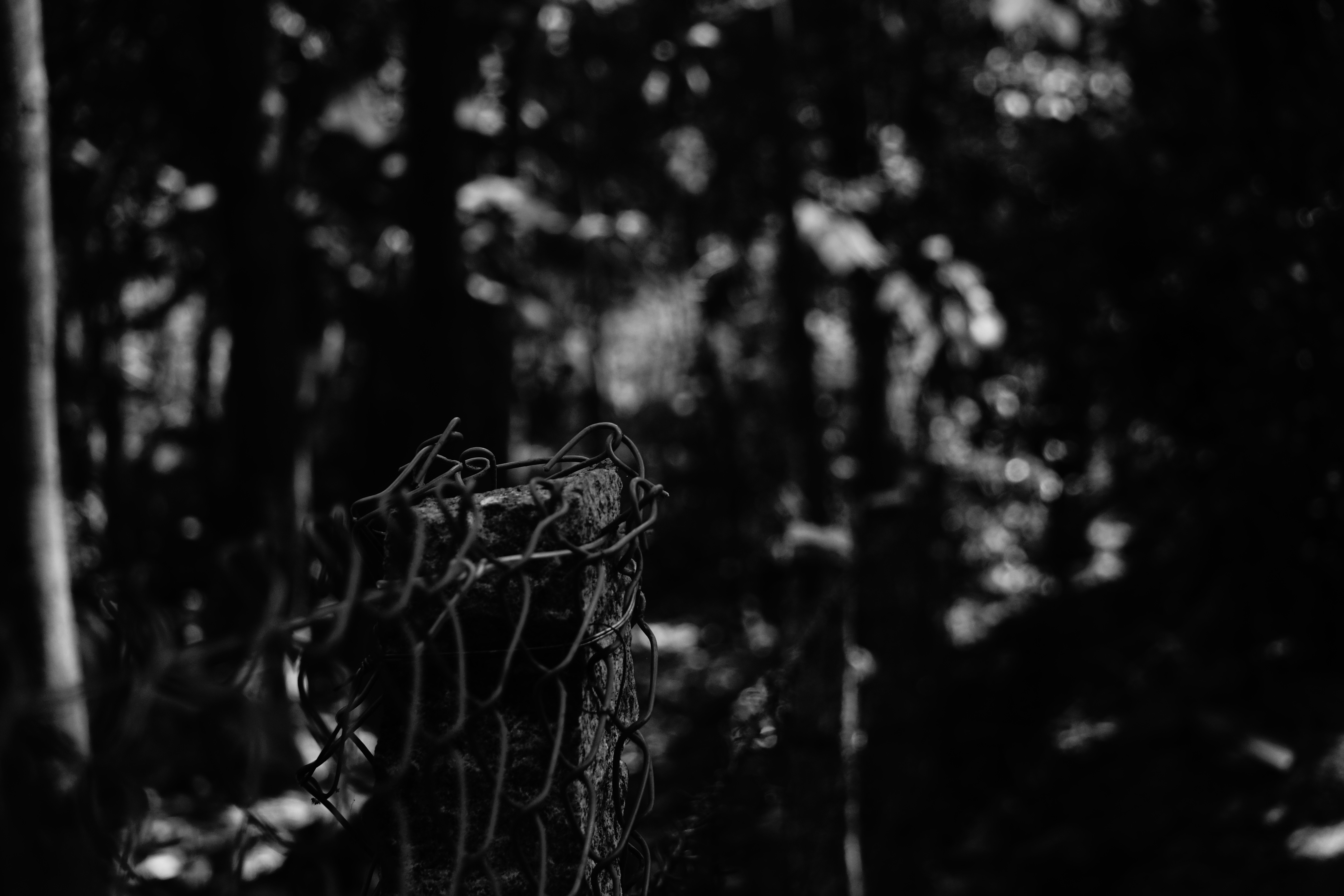 Photo by bibin_babuji