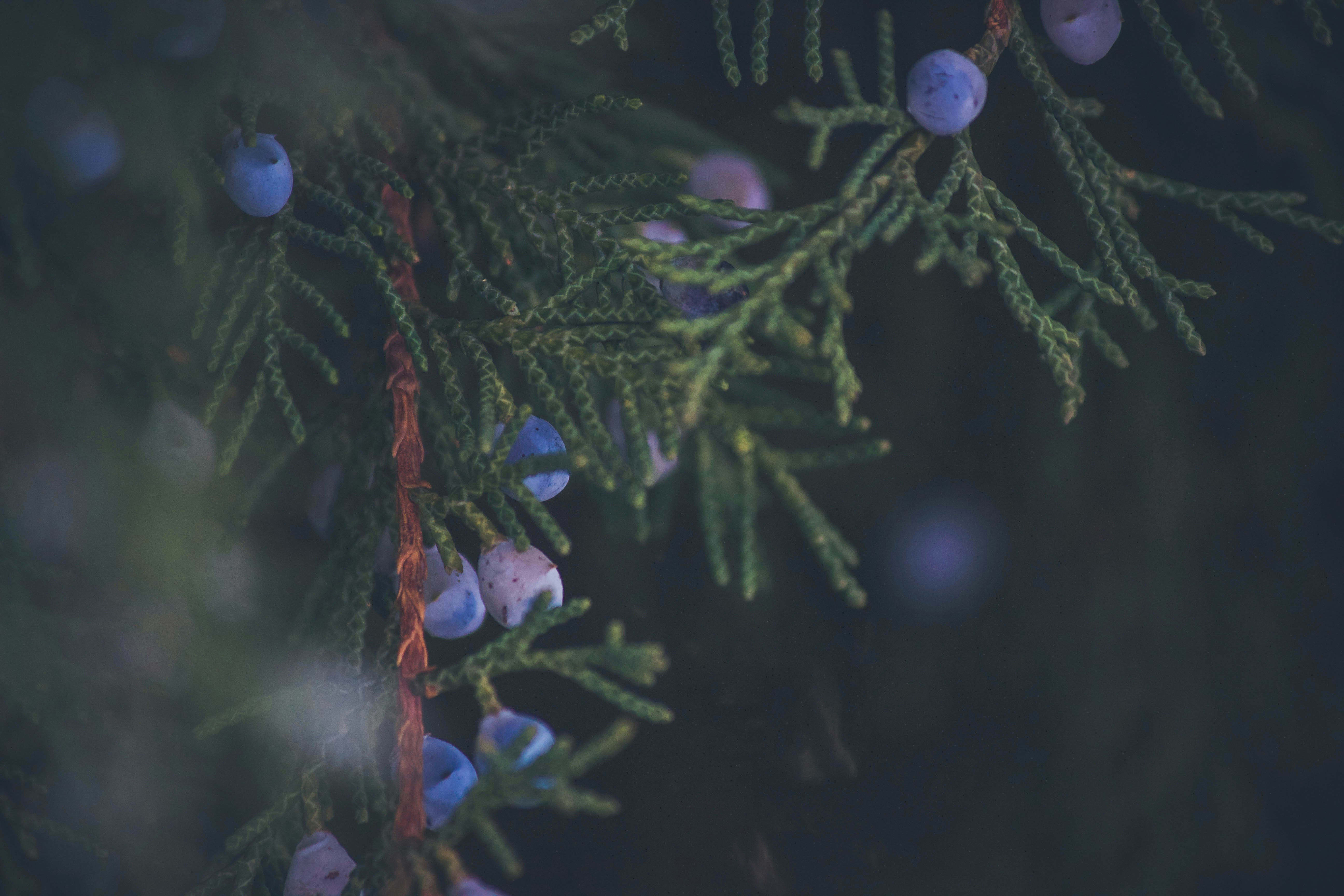 Photo by jessicalfadel