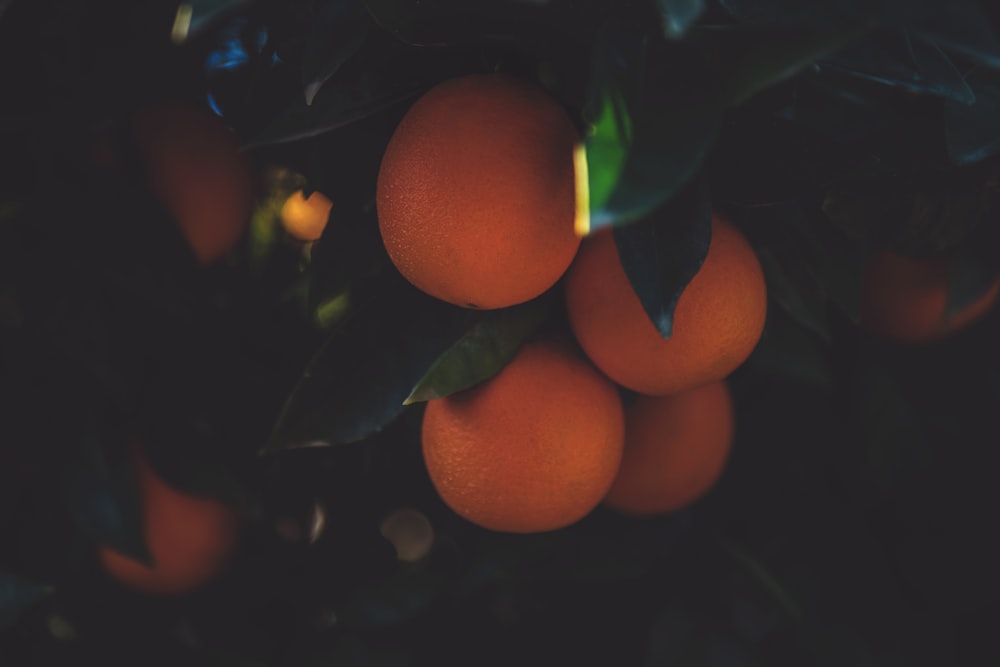 いくつかのオレンジ色の果物