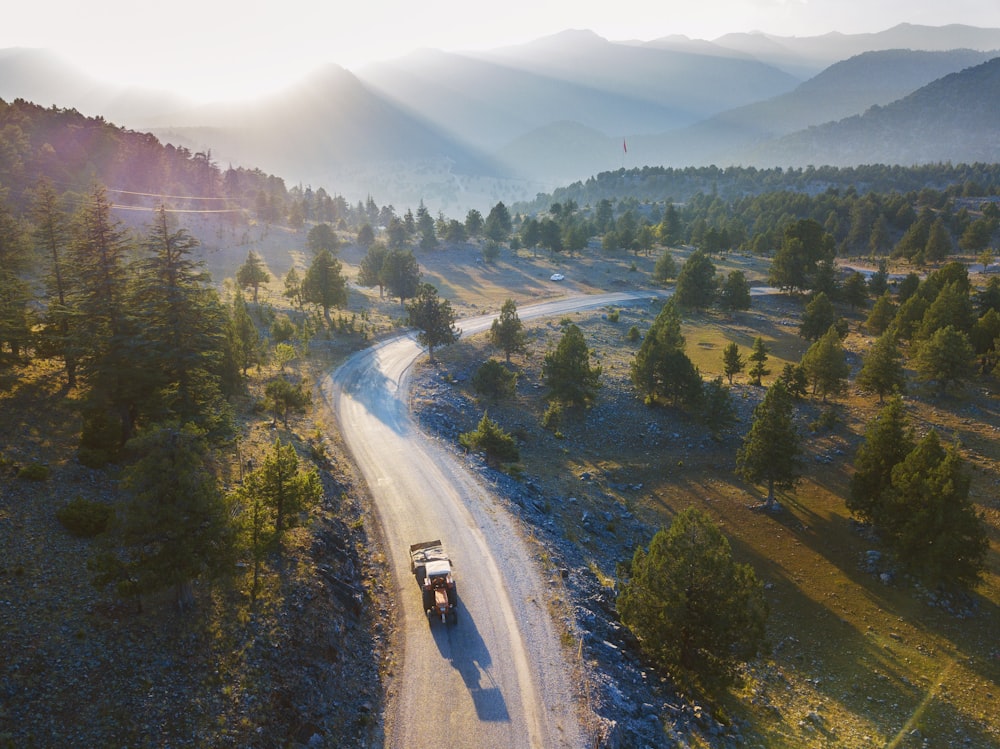 aerial photo of car passing by trees