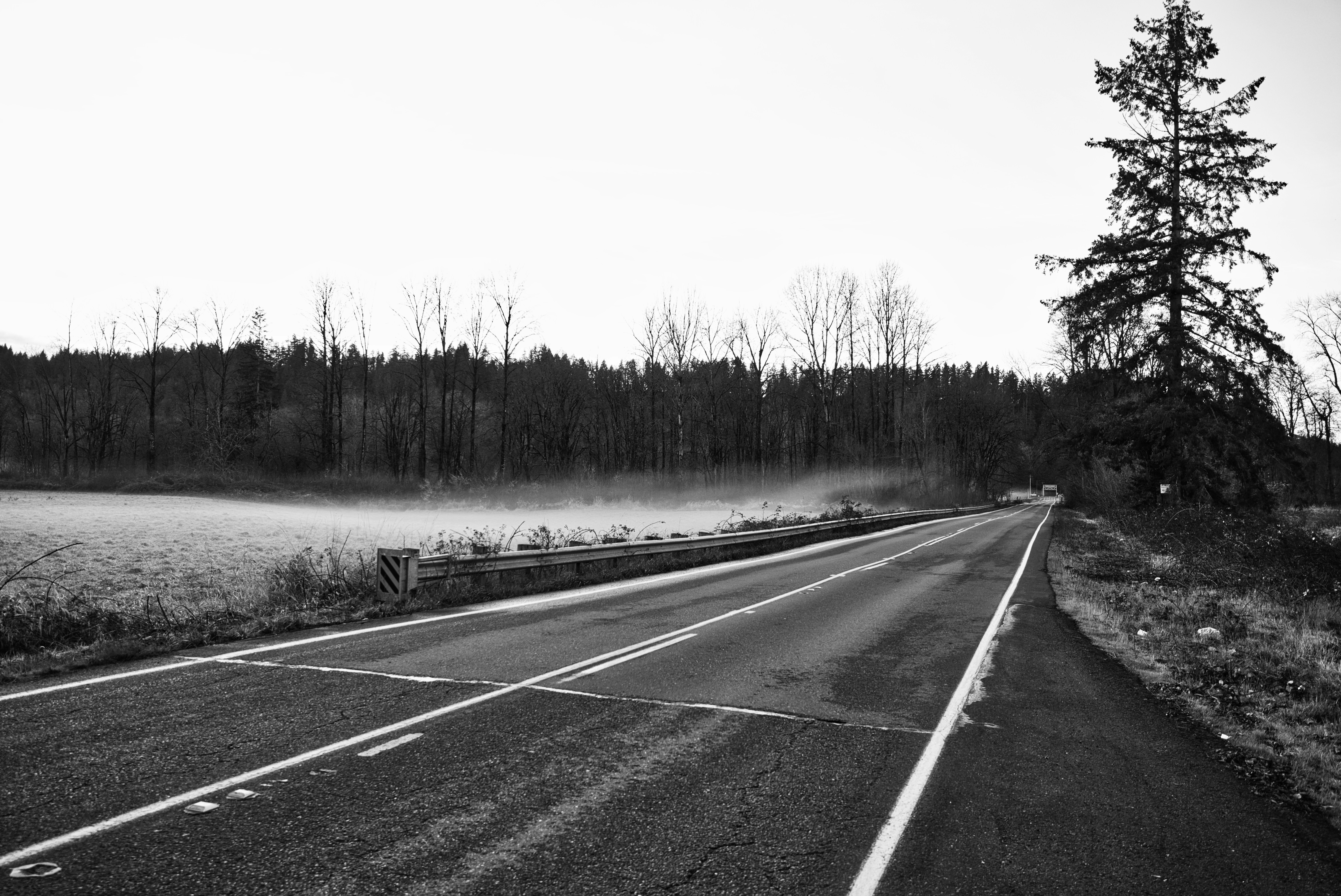 grayscalel road during daytime