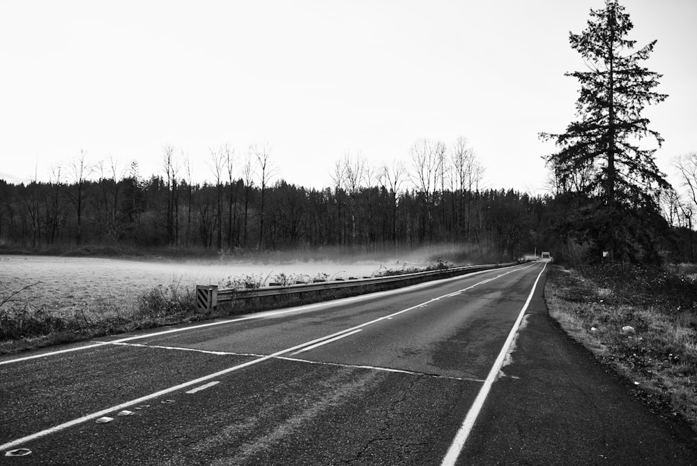 grayscalel road during daytime