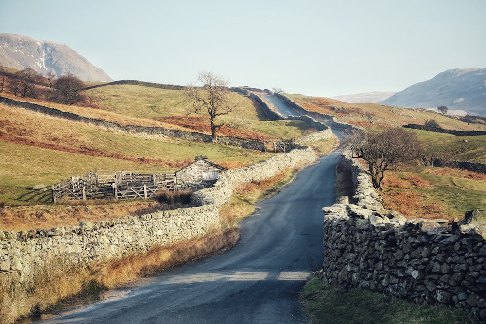 mountain pathway scenry