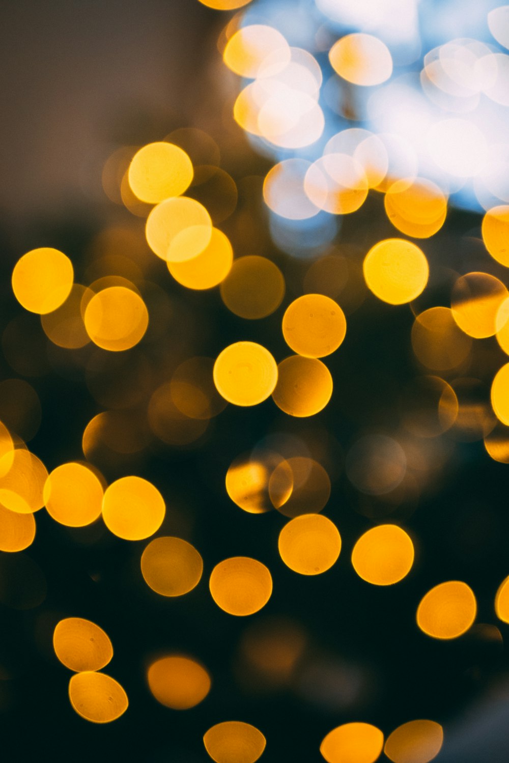 Bokeh photography of yellow lights