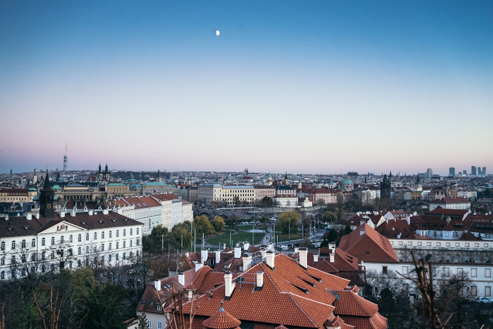 aerial photography of city