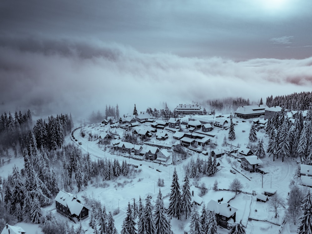 rural covered with snow