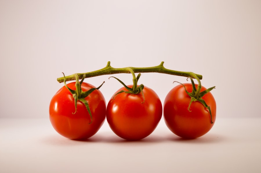 Tomates colorées mûres sur le plant
