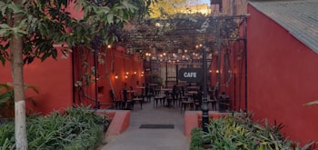 An outdoor cafe with red walls and a cozy atmosphere. The seating area features multiple black chairs and tables under a canopy of vines, with string lights adding a warm glow. Surrounding the entrance are green plants and a pathway leading inside.