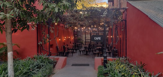 An outdoor cafe with red walls and a cozy atmosphere. The seating area features multiple black chairs and tables under a canopy of vines, with string lights adding a warm glow. Surrounding the entrance are green plants and a pathway leading inside.