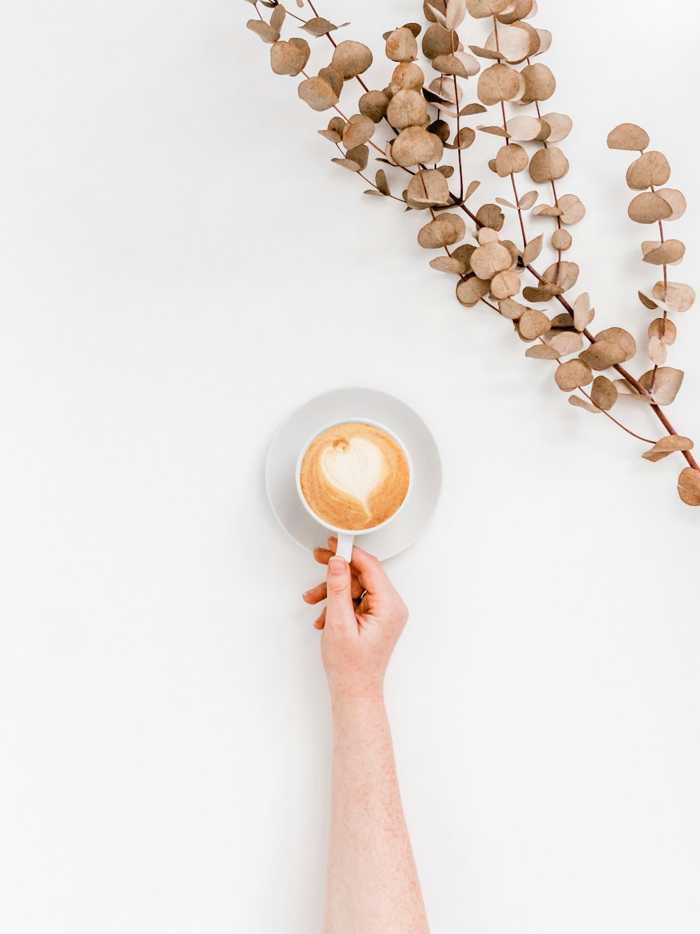 flat lay photo of coffee