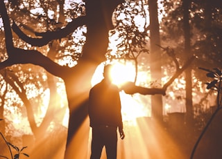 man standing near tree