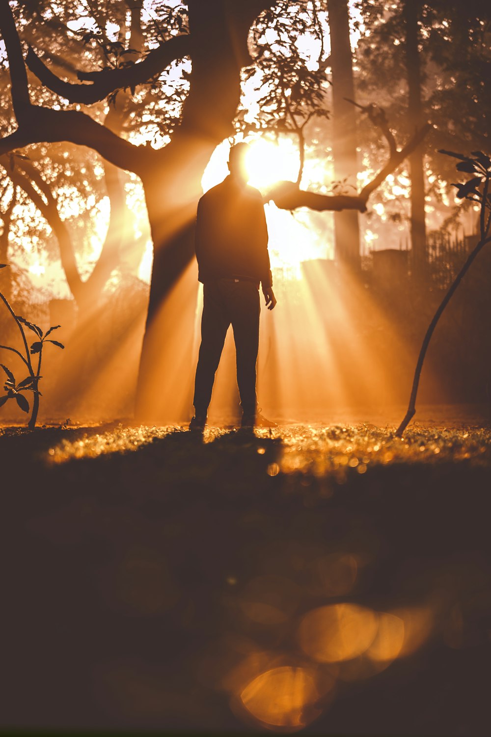 man standing near tree